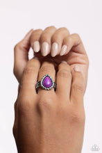 Load image into Gallery viewer, scalloped-showcase-purple-p4se-prxx-124xx