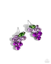 Load image into Gallery viewer, Paparazzi Grapevine Grace - Purple Earrings
