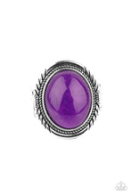Load image into Gallery viewer, Paparazzi Stone Terrarium - Purple Ring

