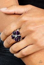 Load image into Gallery viewer, Paparazzi Minnesota Magic - Purple Ring
